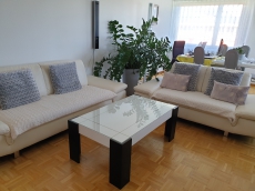 Sofas 3er und 2er (kein Bettsofa)