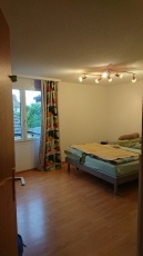 Wunderschön gelegene 4 1/2 Zimmer Wohnung