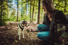 Hundetraining | Hundeschule OHANA