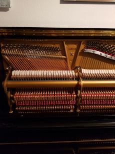 STEINWAY  &  SONS  zu verkaufen