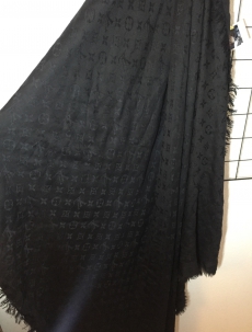 Louis Vuitton Scarf onesize