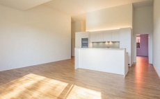 3.5 Zimmer Wohnung zum mieten  131 m2