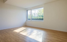 3.5 Zimmer Wohnung zum mieten  131 m2