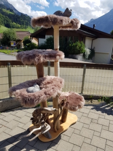 Natur-katzenbaum