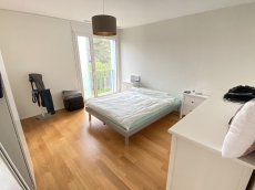 Nachmieter/-in für helle & komfortable 3.5 Wohnung gesucht