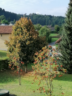 3.5 Zimmer Parterre Wohnung