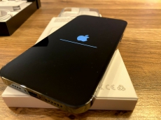 Apple iPhone 12 Pro Max - 256 Go - Bleu Pacifique 