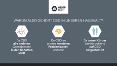 CBD Produkte vertreiben Nebenverdienst