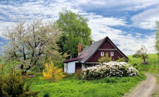 Betreuung und Haushaltshilfe