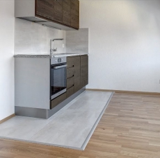 Basel, zentral gelegene 1.5-Zi-Wohnung, neu renoviert