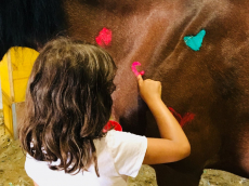 Erlebnis- und Ponynachmittag für Kinder