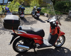 Honda Roller SH125 zu verkaufen 