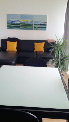 2.5 Zimmer, 55m2