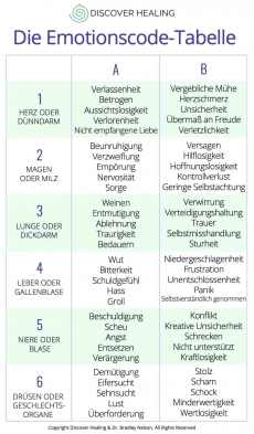 Emotionscode-Sitzung (persönlich, telefonisch, per Zoom), 30 Min.