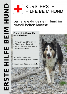 Kurs: Erste Hilfe beim Hund