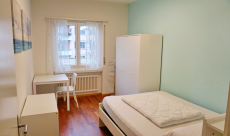 Private Rooms in comfortable apartment 200 m2, at Baden/Villigen