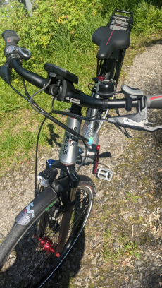 E Bike Sinus BT 80 (frisch aus dem Service)