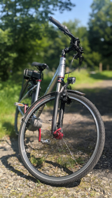 E Bike Sinus BT 80 (frisch aus dem Service)