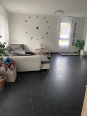 Suche nachmieter für 4 1/2 Garten Wohnung haustiere erlaubt!