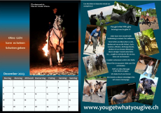 Monats Wandkalender 23 - Filmtiermotive von You get what YOU give