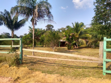 Brasilien 10 Ha Tiefpreis - Grundstück bei Preto da Eva AM