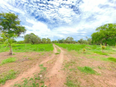 Brasilien 80 Ha Tiefpreis-Grundstück (Bauernhof) am See