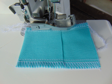 Overlock-, Coverlock Nähmaschine babylock desire 3 neu