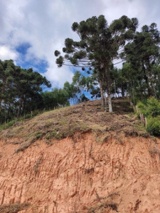 Brasilien 961,5998 Ha grosses Grundstück mit Privatsee (Goldvorko