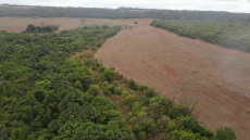  Brasilien 145'198 Ha grosses Grundstück mit Privatsee