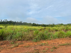 neu Brasilien 94.0251 Ha grosses Grundstück (Goldvorkommen 