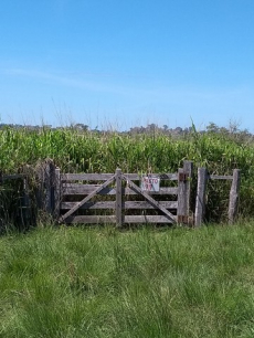 Brasilien riesengrosse 7'400 Ha Farm - Sao Joao do Baliza - Rorai