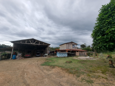 Brasilien 479 Ha grosse Früchtefarm in der Nähe von Manaus AM