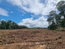 Brasilien 479 Ha grosse Früchtefarm in der Nähe von Manaus AM