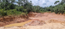 Brasilien 1'535 Ha Ziegelfabrik - Rohstoff - Mine Region Manaus 