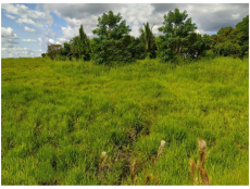 Brasilien 1'000 Ha Tiefpreis - Grundstück mit Rohstoffen Region 