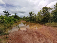 Brasilien 1'000 Ha Tiefpreis - Grundstück mit Rohstoffen Region 