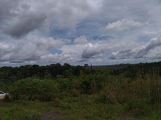 Brasilien 1'000 Ha Tiefpreis - Grundstück mit Rohstoffen Region 