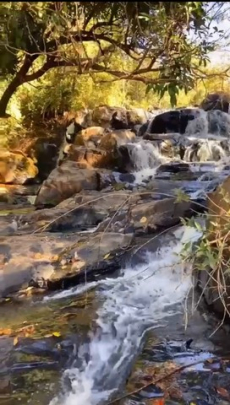 Brasilien riesengrosses 3'000 Ha Tiefpreis - Grundstück mit Rohst