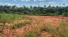 Brasilien riesengrosses 3'000 Ha Tiefpreis - Grundstück mit Rohst