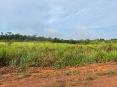 Brasilien riesengrosses 3'000 Ha Tiefpreis - Grundstück mit Rohst
