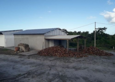 Brasilien Kokosnussölfabrik und Früchtefarm Region Salvador Bahia