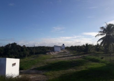 Brasilien Kokosnussölfabrik und Früchtefarm Region Salvador Bahia
