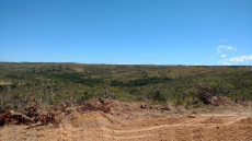  Brasilien 4'115 Ha grosses Grundstück