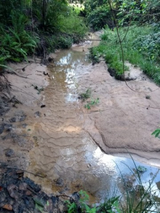 Brasilien 71.5 Ha Tiefpreis-Grundstück mit Fisch-Teich