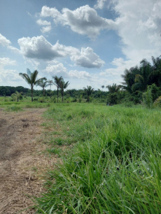 Brasilien 60 Ha Farm Tiefpreis-Grundstück in der Nähe von Rio Pre