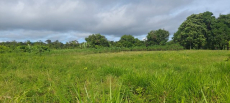 Brasilien 60 Ha Farm Tiefpreis-Grundstück in der Nähe von Rio Pre