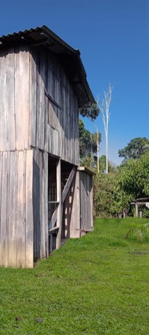 Brasilien 60 Ha Farm Tiefpreis-Grundstück in der Nähe von Rio Pre