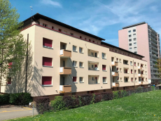 Top 3,3 Zimmer Wohnung in Pratteln