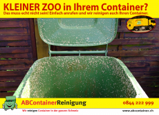 Containerreinigung Bülach Winterthur Zürich Uster ABContainer