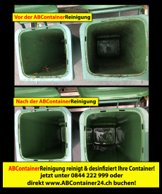 Containerreinigung Kilchberg Thalwil Horgen Richterswil Bäch